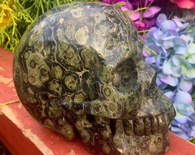 Kambaba Jasper Crystal Skull ~ Large 2 Lb. 13 oz. ~ 5" Long ~ High Quality Decor ~ Expertly Hand Carved ~ Swirling Green & Black Colors