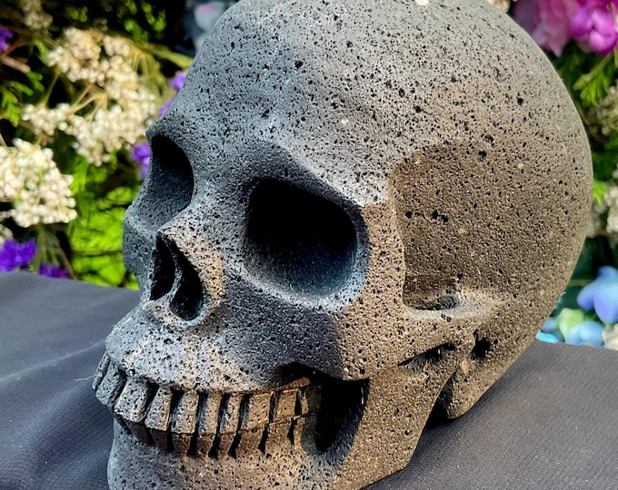 Lava Stone Skull Large 2 Lb. 8 oz. Expertly Hand Carved ~ 5 " Long ~ Expertly Hand Carved Free Standing Display Sculpture ~ Free Shipping