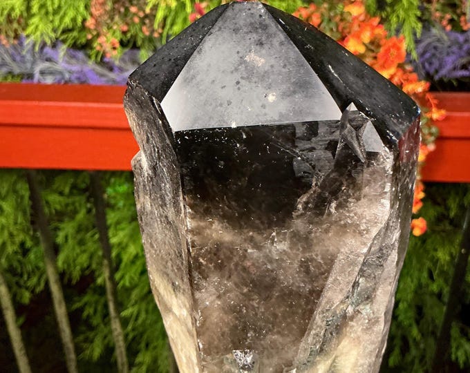 Black Morion Quartz Display Crystal 8 Lb. 14 oz.  Single-Terminated Point Cluster ~ 12" Tall ~Natural Black Color ~ Custom Hand Carved Stand
