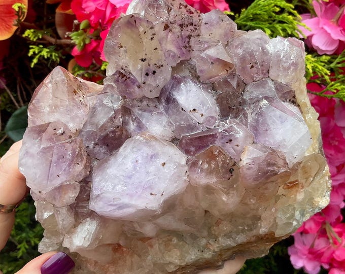 Amethyst Cacoxenite Crystal Cluster ~ 8 lb. 2 oz. ~ 7" Long ~ Rare Collector's Mineral Specimen Purple Points ~ Fast & Free Shipping U.S.A.