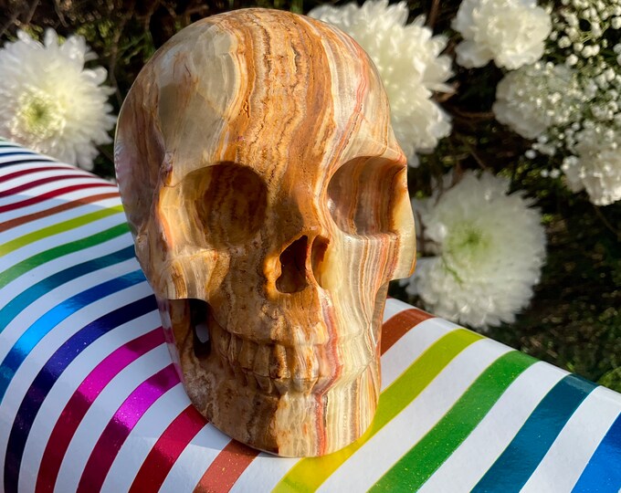 Afghan Jade Crystal Skull ~ Large 2 Lb. 14 oz. ~ 5" Long ~ One-of-a-Kind ~ Swirling Green Gold and Beige Colors~ Hand Carved Sculpture
