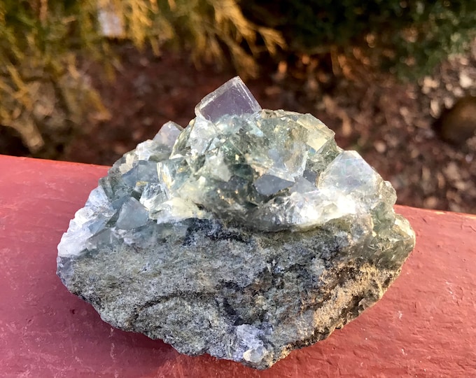 Clear Blue Cubic Fluorite Crystal Cluster ~ 2.4 oz. ~ 2" Long ~ Sparkling Mineral Matrix ~ Ancient Translucent Specimen ~ Free Shipping