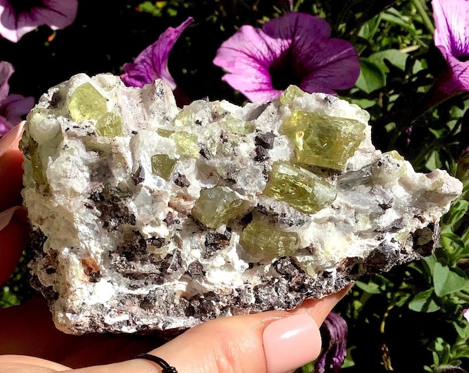 Yellow Apatite Crystal Cluster ~ Large 1 Lb. ~ 4" Long ~ Sparkling Golden Yellow Crystals ~ Feldspar Garnet Matrix