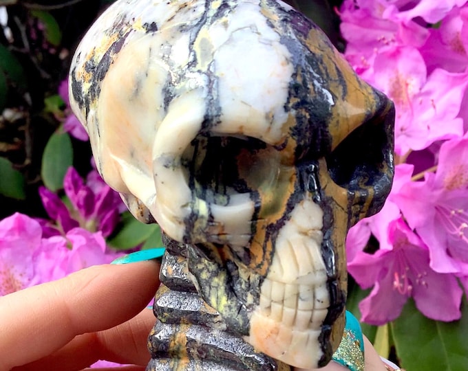 Jasper Crystal Alien Skull ~ 15 oz. ~ 4" Long ~ Colorful Golden Yellow Black and White ~ One-of-a-Kind ~ Expertly Hand Carved Sculpture