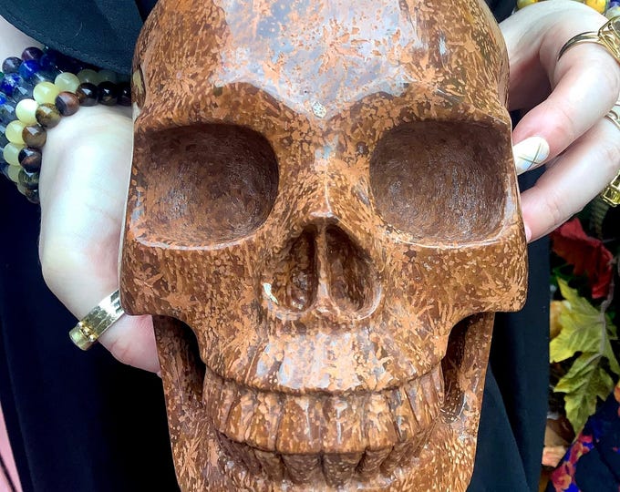 Orange Coral Stone Crystal Skull ~ Large 7 Lb. ~ 7" Long ~ Hand Carved Sculpture ~ Swirling Golden Red Brown & Black Colors