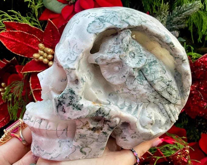 Life Size Moss Agate Crystal Skull with Owl Carving ~ Large 5 Lb. 2 oz. ~ 7" Long ~ Sparkling Druzy Caves, High Gloss ~ Green & White Colors