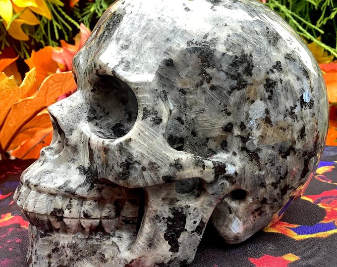 Larvikite Crystal Large 2 Lb. 13 oz. Skull ~ 5" Long ~ Expertly Hand Carved Sculpture ~ Lustrous Flashing Silver-Blueish Shimmering Colors