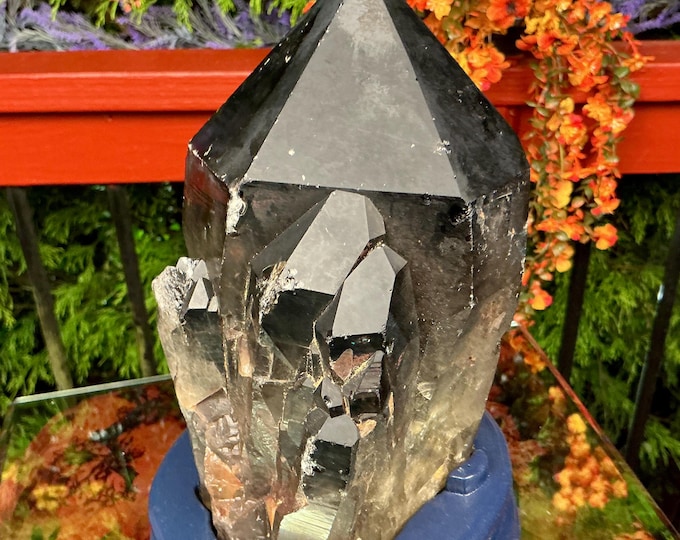 Black Morion Quartz Display Crystal 9 Lb. 2 oz.  Single-Terminated Point Cluster ~ 8" Tall ~Natural Black Color ~ Custom Hand Carved Stand