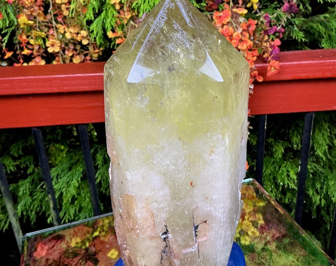 Clear Citrine Quartz Crystal Point ~ 7 Lb. 7 oz. ~ 10" Tall~ Sparkling Yellow with Golden Rainbow Inclusions ~ Custom Hand Carved Stand