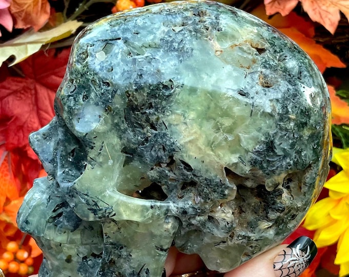 Prehnite Skull 2 Lb. 8 oz. Crystal ~ 5" Long ~ Colorful Green, Yellow & Black with Quartz Inclusions ~ Hand-Crafted Display Sculpture