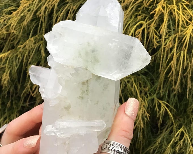 Himalayan Healing Clear Quartz Crystal Cluster ~ Large 1 Lb. 5 oz. ~ 5" Long ~ Ultra Sparkling, Translucent Long Points
