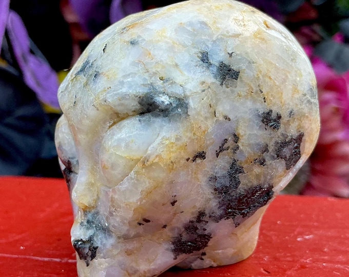 CLEARANCE ~ Black Tourmaline in Quartz Mini Alien Crystal Skull ~ 5 oz. ~ 2" Long ~ Swirling Golden Healer Inclusions ~ Hand Carved