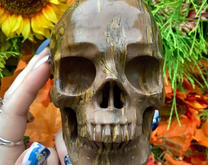 Tigers Eye Crystal Skull ~ Large 3 Lb. 4 oz ~ 5" Long One-of-a-Kind Carving ~ Swirling Golden Red Brown & Black Colors ~ Quality Hand Carved
