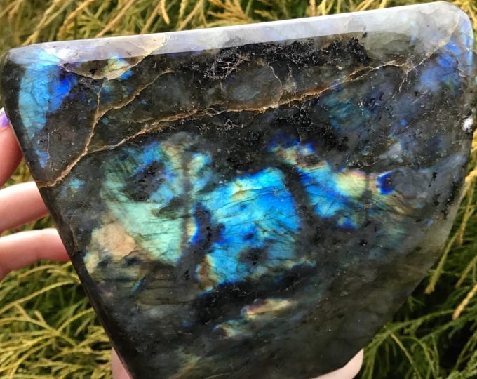 CLEARANCE! ~ Labradorite Free Form Crystal ~ Large 3 Lb. 15 oz. ~ 5" Tall ~ Flashiest Electric Blue Gold ~ Super High Quality