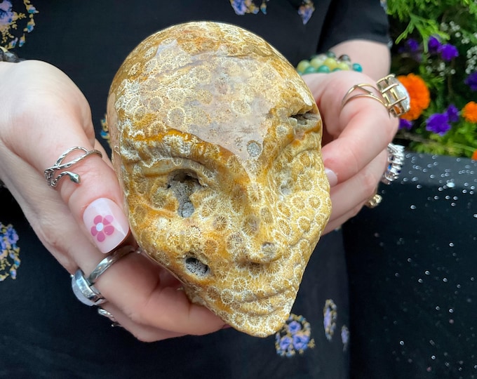 Fossilized Jasper Elf Crystal Skull ~ 1 Lb 12 oz.~ 4" Tall ~ Yellow, White and Golden Colors ~ One-of-a-Kind, Fast & Free Shipping, U.S.A. ~