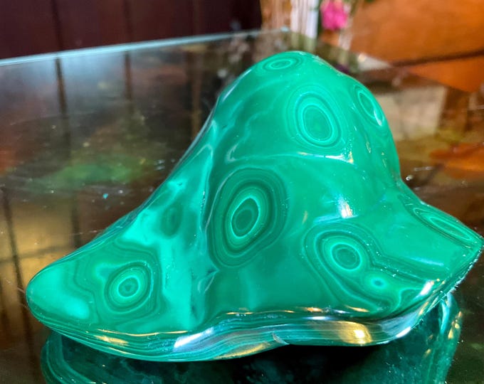 Malachite Freeform Crystal ~ Large 9.3 oz. ~ 4" Long ~ Beautiful Polished Green Mineral Specimen Display ~ Swirling Bullseye Patterns