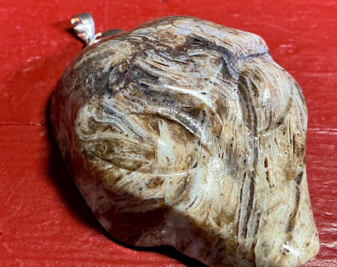CLEARANCE! ~ Petrified Wood Gemstone Alien Skull Pendant 1.9 oz. Crystal ~ 2" Long ~ Beige, Brown & Gray Colors ~ Hand Carved Sculpture