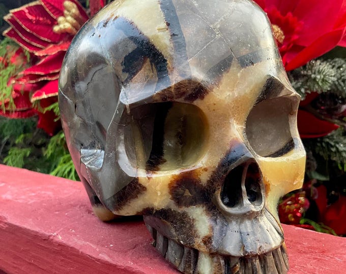 Septarian Dragon Stone Crystal Skull ~ 6 Lb. 2 oz.~ 6" Long ~ Beautiful Hand Carved Display ~ Yellow Calcite