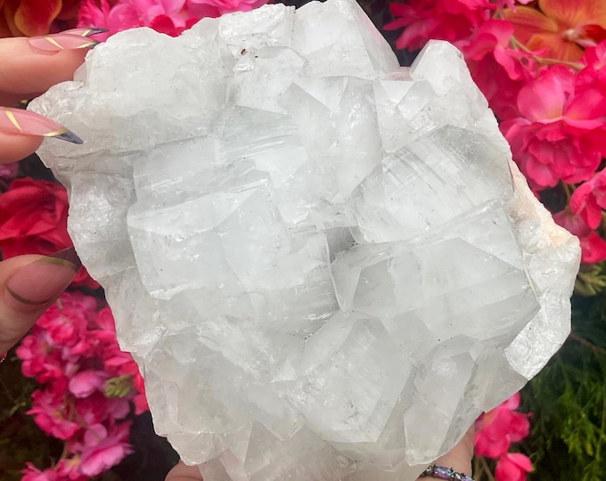 Clear Apophyllite Crystal Cluster ~ Large 3 Lb. 8 oz. ~ 5" Long ~ Stunning Sparkling Cubic Zeolite Specimen ~ Fast & Free Shipping from USA