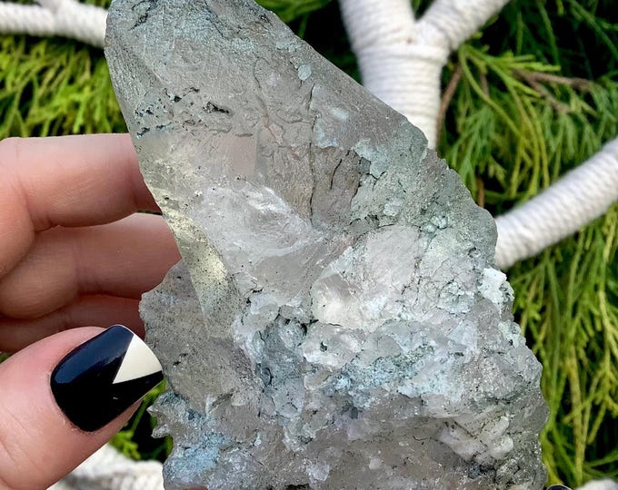 Nirvana Quartz Crystal Cluster ~ 8 oz. ~ 4" Long ~ Himalayan Glacial Ice Quartz ~ Actinolite Inclusions ~ Ancient Striations