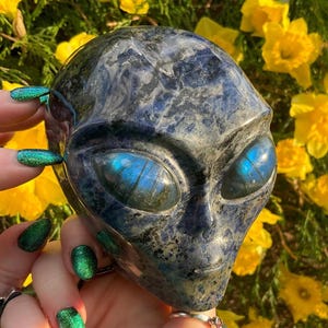 May include: A detailed sculpture of an alien head, featuring large, oval eyes with iridescent blue and green patterns. The head is a mix of dark blue and gray tones, with a smooth, polished surface. The background is filled with bright yellow flowers.