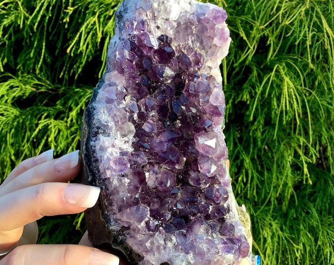 Amethyst Crystal Cluster ~ Large 1 lb. 9 oz. ~ 5 1/2" Tall ~ Reiki Display ~ Beautiful Purple Quartz Points