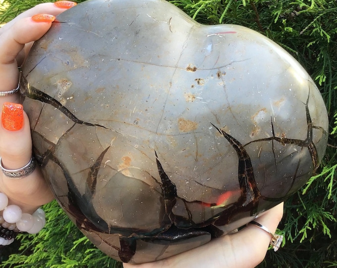 Septarian Dragon Stone Crystal Heart ~ Large 8 lb. 11 oz. ~ 8" Wide ~ Beautiful Display ~ Reiki, Altar, Home Décor ~ Fast & Free Shipping