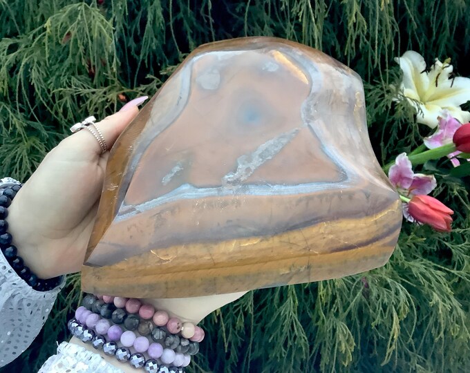 Tigers Eye Freeform Crystal ~ Large 6 Lb. 15 oz. ~ 9" Long ~ Sparkling Golden-Red-Brown Black Colors ~ Fast & Free Shipping, U.S.A. ~