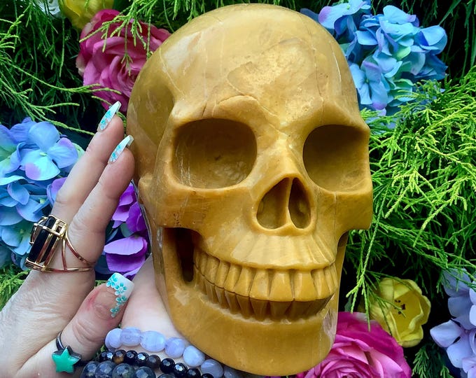 Life-Size Yellow Jasper Crystal Skull ~ Large 7 Lb 11 oz ~ 6" Long ~ High Quality ~ Expertly Hand-Carved ~ Solar Plexus Chakra Altar Display