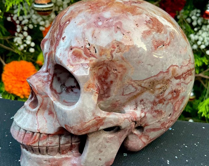 Mookaite Jasper Crystal Skull ~ Large 2 Lb. 12 oz.~ 5" Long ~ Hand Carved Sculpture ~ One-of-a-Kind Swirling Red, Yellow, & Brown Colors