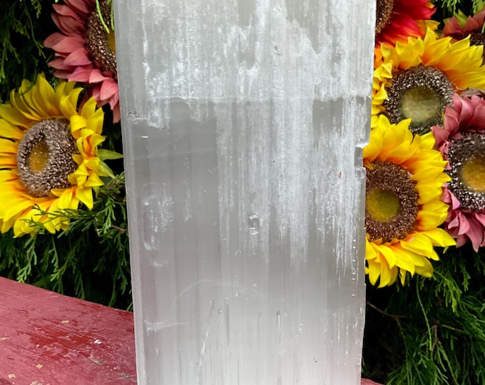 Selenite Crystal Cluster ~ Large 7 Lb. 9 oz. ~ 7 1/2" Tall ~ Beautiful White Shiny Iridescent Gypsum Display Specimen ~ Fast & Free Shipping