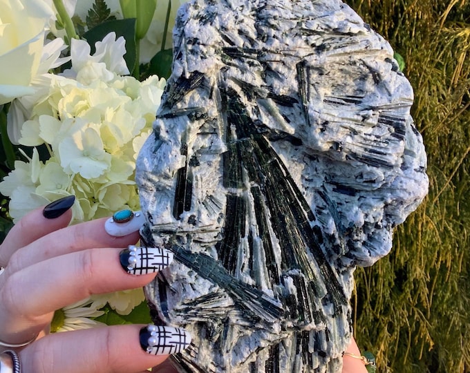 Green Actinolite Crystal Cluster ~ Large 3 lb. 15 oz. ~ 6" Long ~ Rare Mineral Specimen ~ Metaphysical Home Decor, Reiki, Altar Display