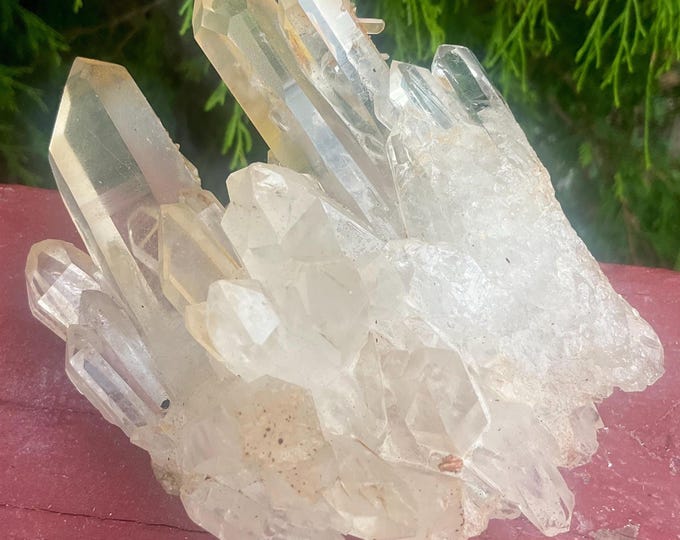 Himalayan Healing Clear Quartz Crystal Large 15 oz. Cluster ~ 4 1/2" Long ~ Ultra Sparkling Water Clear Big Points ~ Fast & Free Shipping