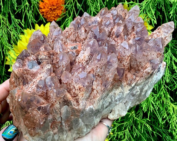 Amethyst Crystal Cluster ~ Large 6 Lb. 8 oz. ~ 7" Long ~ Gorgeous Display ~ Natural Beautiful Purple Points ~ Mineral Display Specimen