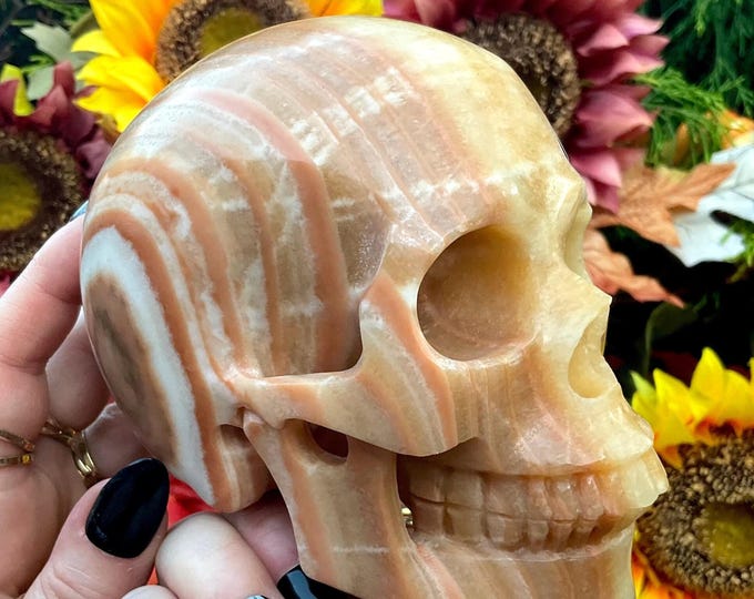 Banded Calcite Skull Large 2 Lb. 12 oz. Crystal ~ 5" Long ~ Expertly Hand Carved Sculpture ~ Sparkling Yellow White Grey & Black Colors ~