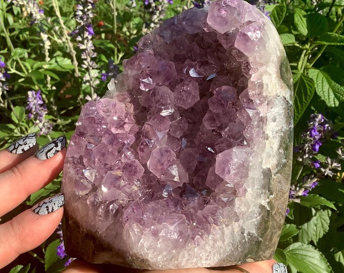 CLEARANCE! ~ Amethyst Crystal Cluster ~ Large 1 lb. 13 oz. ~ 4 1/2" Tall ~ Beautiful Purple Quartz Points ~ Reiki Display Specimen ~