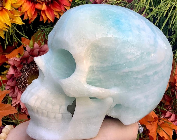 Blue Aragonite Crystal Skull ~ Large 7 Lb. 4 oz. ~ 7" Long ~ Hand Carved Sparkling Sculpture ~ Fast & Free Shipping, USA + Global Shipping ~