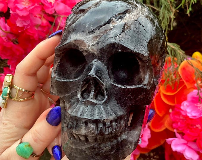 Black Quartz Crystal Skull ~ Large 2 Lb. 13 oz. ~ 5" Long ~ High Quality Hand Carved ~ Grounding & Protection Altar Display ~ Metaphysical ~