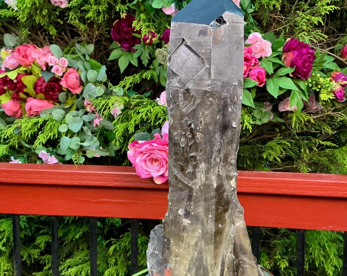 Black Morion Quartz Display Crystal 7 Lb. Single-Terminated Point Cluster ~ 12" Tall ~Natural Black Color ~ Custom Hand Carved Stand