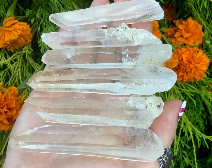 Lemurian Mini Wand Collection ~ 3" Long ~ 6 Wands ~ Grids, Pocket Crystals, Gifts, Meditation, Altar, Mineral Display - Free & Fast Shipping