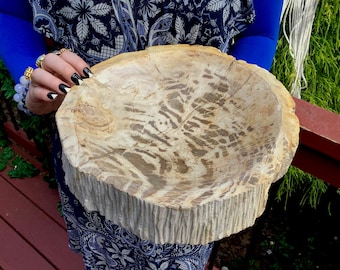 Vintage ＊ petrified wood tray Vintage Petrified Wood Tray: Retro Shelf Decor (14