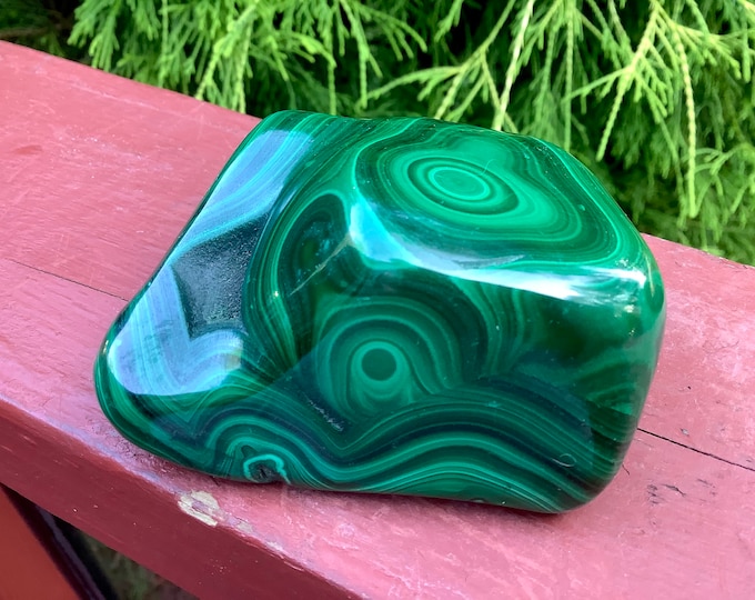 Malachite Freeform Crystal~ Large 11 oz. ~ 3" Long ~ Polished Green Mineral Display Specimen ~ Swirling Bullseye Patterns ~ Congo, Africa