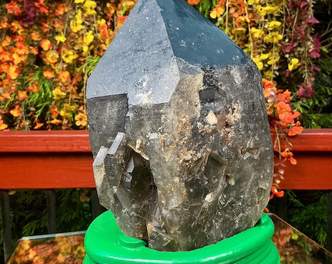 Black Morion Quartz Display Crystal 7 Lb. 14 oz.  Single-Terminated Point Cluster ~ 8" Tall ~Natural Black Color ~ Custom Hand Carved Stand
