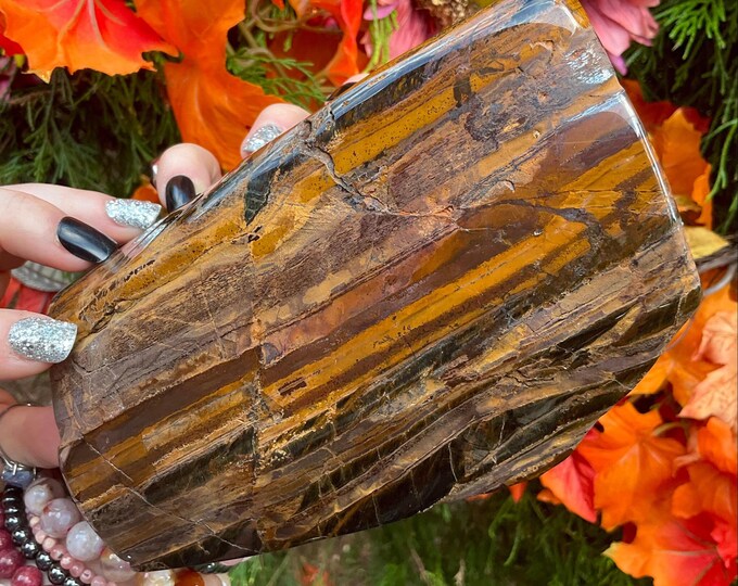 Tigers Eye Freeform Crystal ~ 4 Lb. 11 oz. ~ 6" Long ~ Sparkling Polished Golden-Red-Brown Black Colors ~ Reiki Stone, Altar Display, Decor