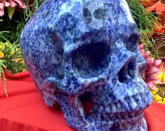 Sodalite Crystal Skull ~ Large 7 Lb. ~ 7" Long ~ One of-a Kind Hand Carved Sculpture ~ Swirling Speckled Blue & White Colors