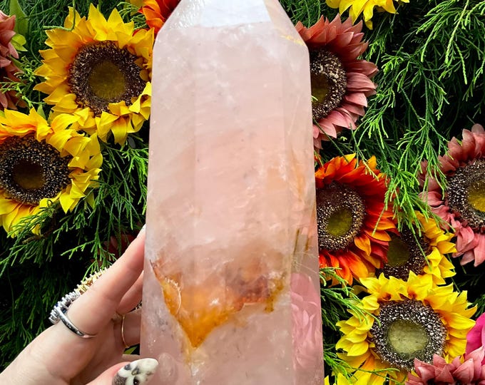 Rose Quartz Crystal Generator ~ 6 Lb. 8 oz. ~ 10" Tall ~ Golden Healer Inclusions ~ Heart Chakra / Love Reiki Altar ~ Metaphysical Decor