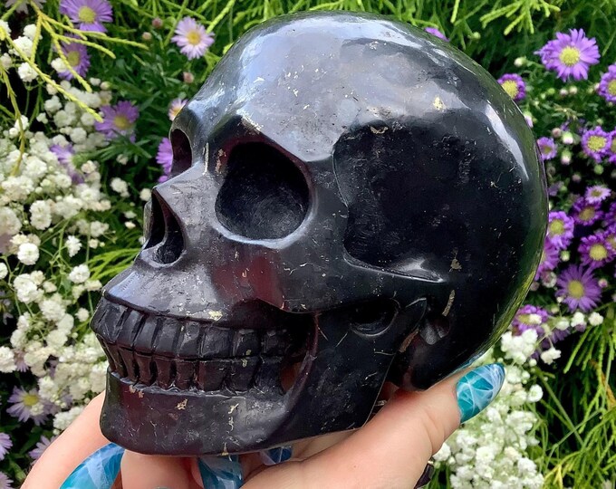 Shungite Crystal Skull ~ Large 2 Lb. 8 oz. ~ 5" Long ~ One of-a Kind Expertly Hand Carved Sculpture ~ Lustrous Black Steel & Gray Colors