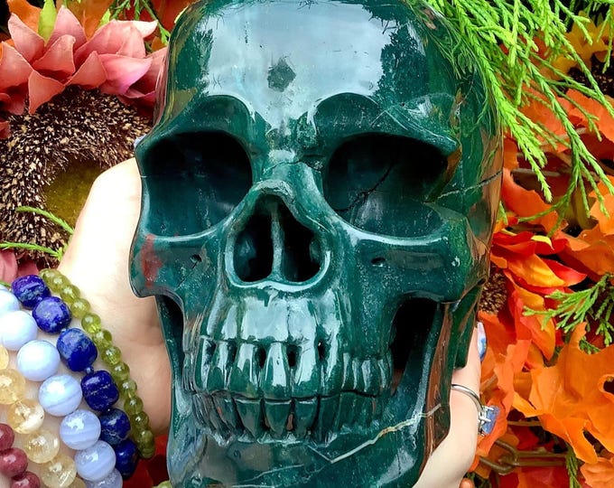 Bloodstone Crystal Skull ~ Large 6 Lb. 8 oz ~ 7" Long ~ Fiery Red and Green ~ One-of-a-Kind ~ Expertly Hand Carved Sculpture