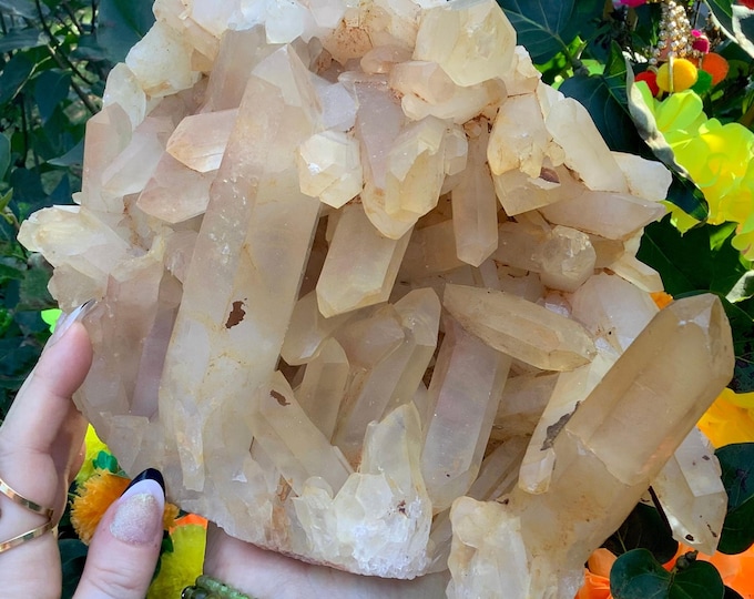 Himalayan Healing Quartz Crystal Cluster ~ Large 8 Lb. 13 oz. ~ 6" Long ~ Ultra-Sparkling Golden Healer ~ Free Shipping from U.S.A. ~