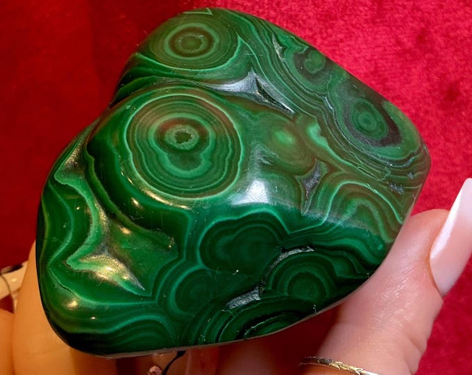 Malachite Freeform Crystal ~ Large 6 oz. ~ 2 1/2" Long ~ Beautiful Polished Green Mineral Specimen Display ~ Swirling Bullseye Patterns ~